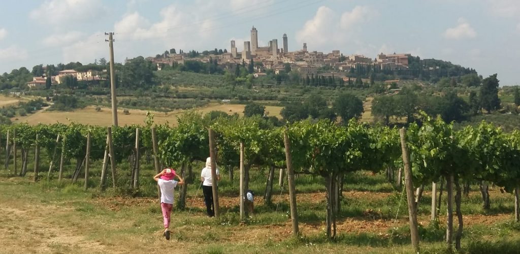 Tuscany Truffle and Brunello Sommelier Vip Experience from Rome