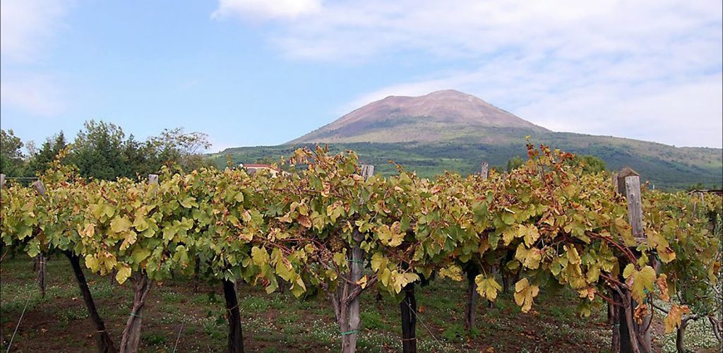 Pompeii Skip-The-Line and Mt Vesuvius with Lunch&WineTasting from Naples Port